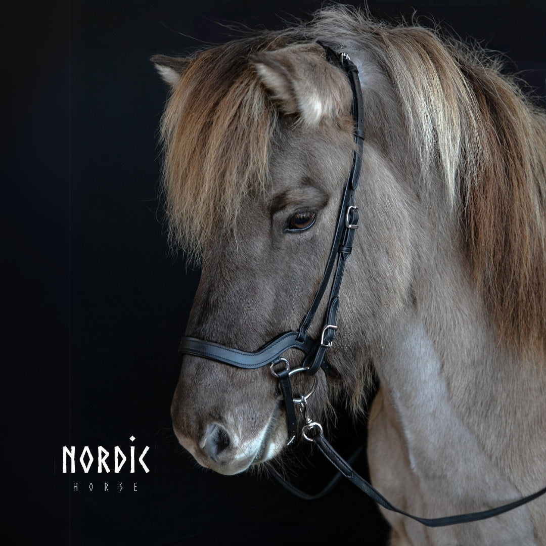 Nordic Horse Anatomisk kombineret næserem
