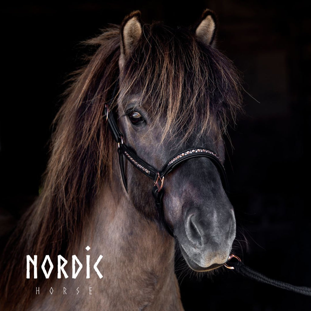 Nordic Horse Lædergrime All Rosegold