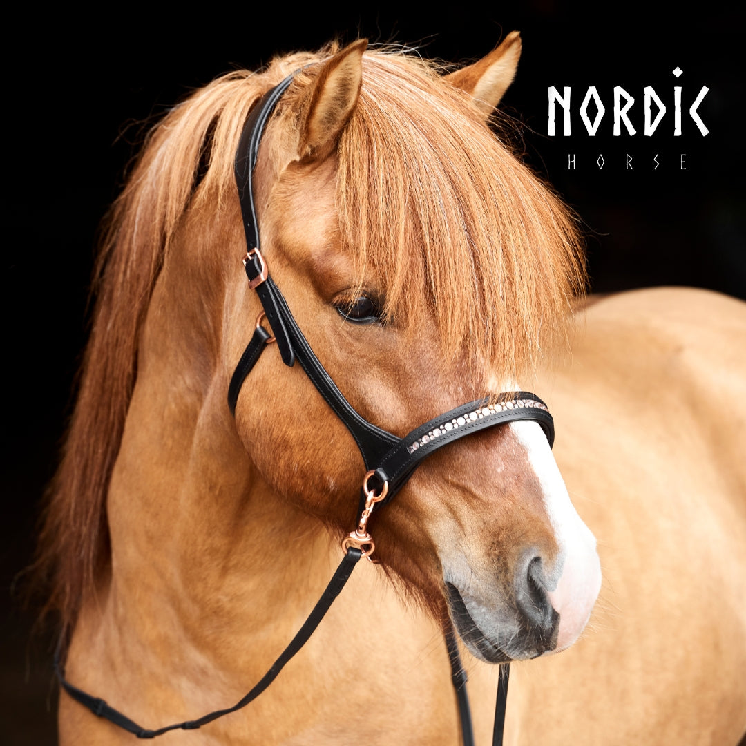 Nordic-horse Brun Sidepull All White