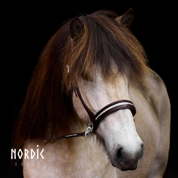 Nordic-horse Brun Sidepull All White