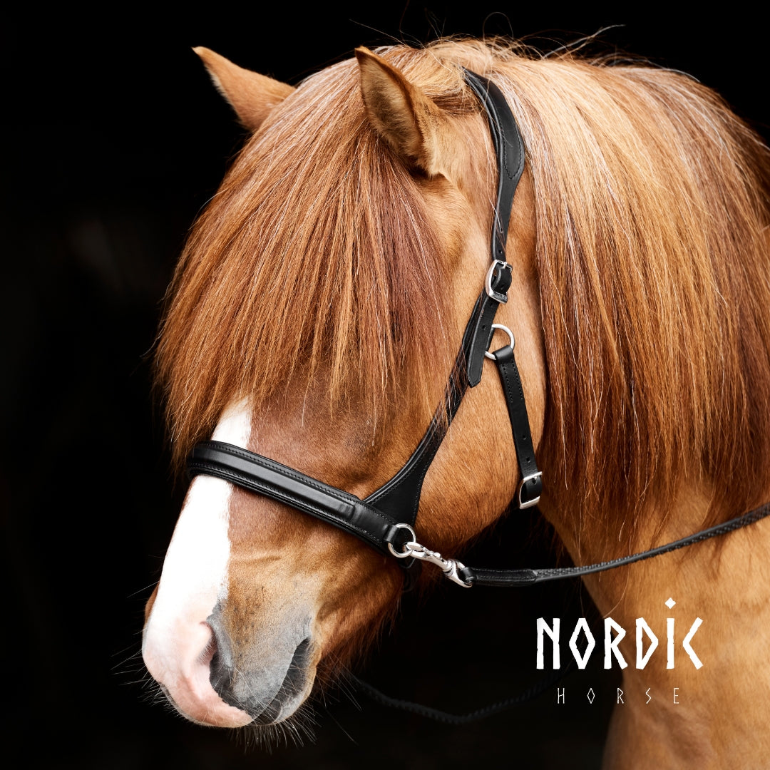 Nordic Horse Sidepull uden sten sort