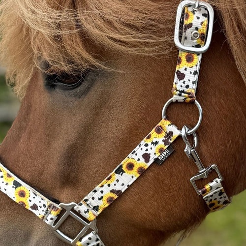 Nordic Horse Polstret grime med solsikker