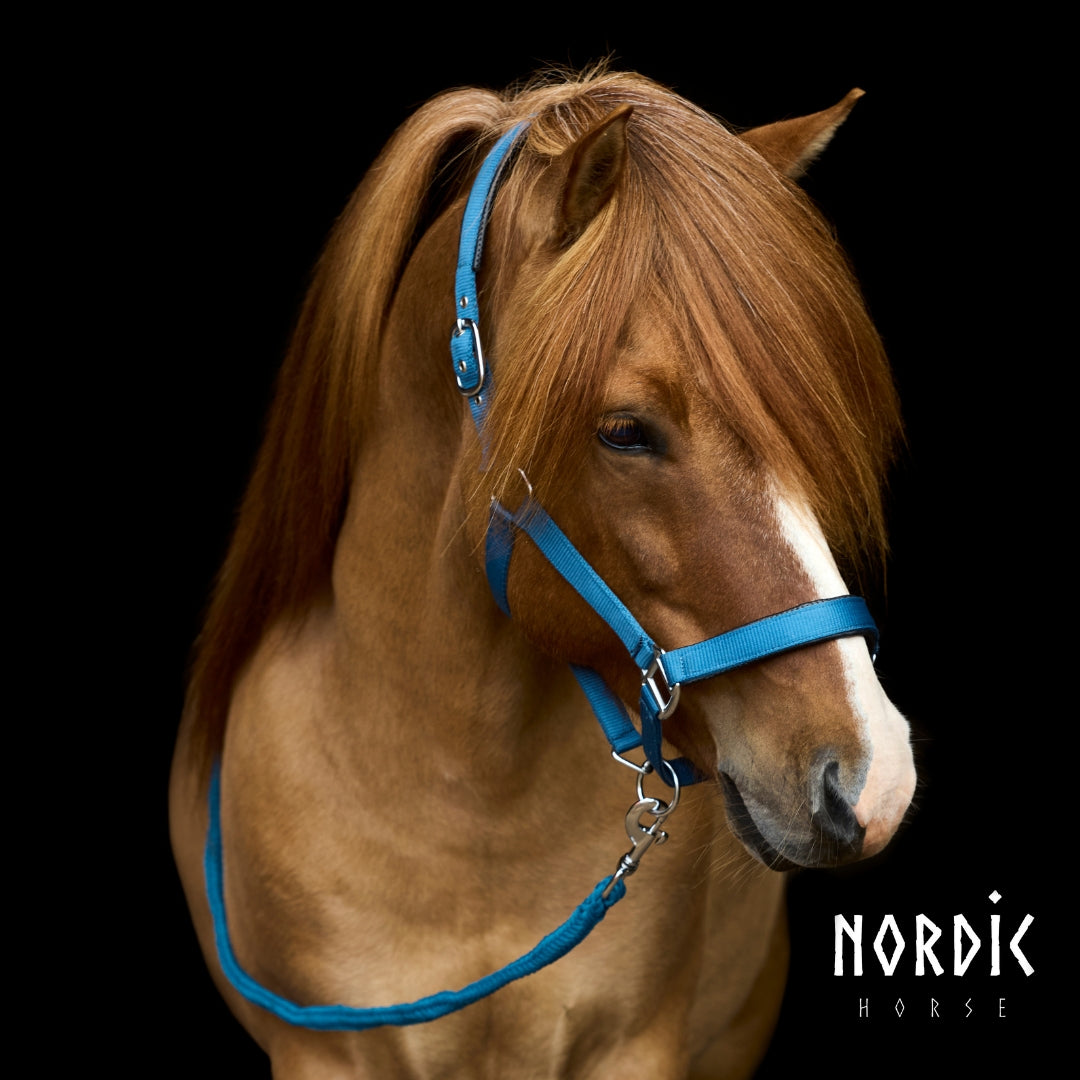 Nordic Horse Grime sæt Ocean Blue