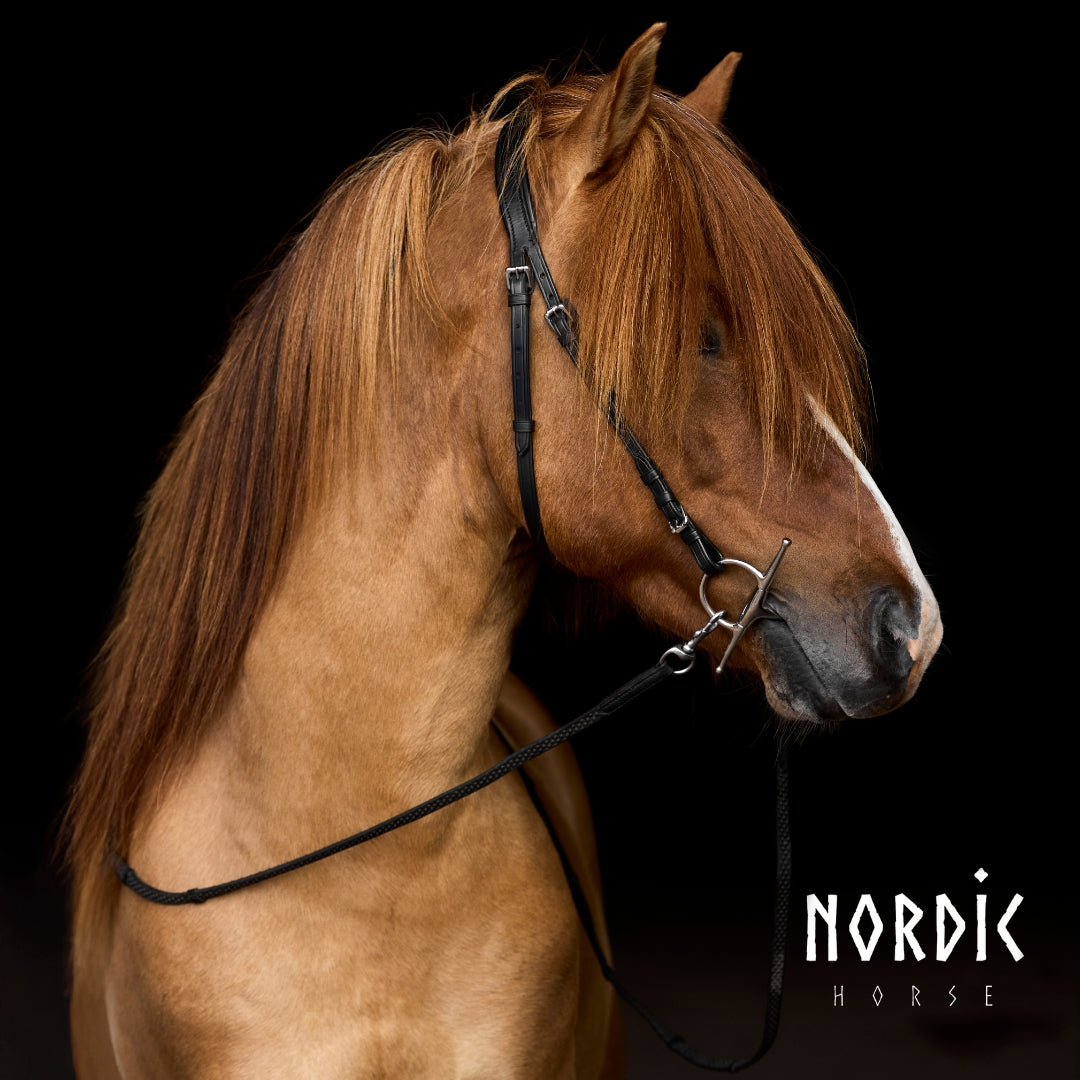 Nordic Horse Full Cheek træningsbid