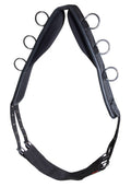 Karlslund Longeringsgjord, nylon med gjord