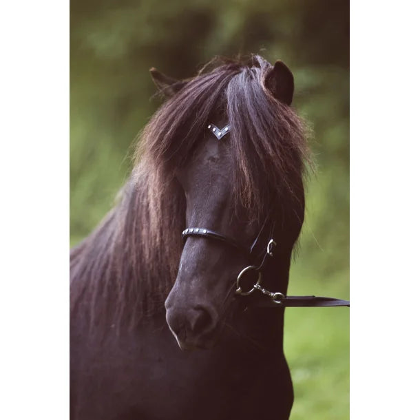 Nordic Horse, nakkestykke med elegant V-pandebånd med 5 hvide sten